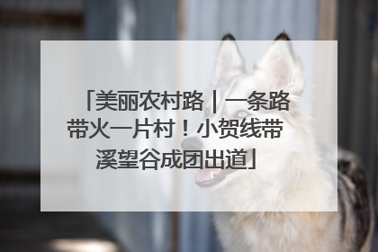 美丽农村路｜一条路带火一片村！小贺线带溪望谷成团出道