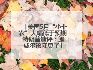 美国5月“小非农”大幅低于预期 特朗普速评：鲍威尔该降息了