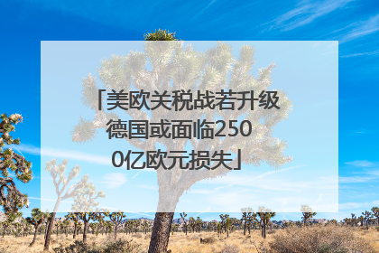 美欧关税战若升级 德国或面临2500亿欧元损失