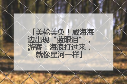 美轮美奂！威海海边出现“蓝眼泪”，游客：海浪打过来，就像星河一样
