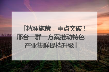精准施策，重点突破！邢台一群一方案推动特色产业集群提档升级