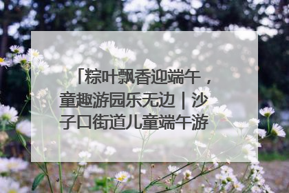 粽叶飘香迎端午，童趣游园乐无边｜沙子口街道儿童端午游园活动圆满落幕
