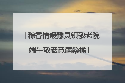粽香情暖豫灵镇敬老院 端午敬老意满桑榆