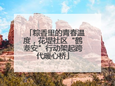 粽香里的青春温度，花堤社区“鹤耋安”行动架起跨代暖心桥