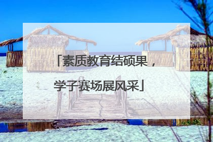 素质教育结硕果，学子赛场展风采