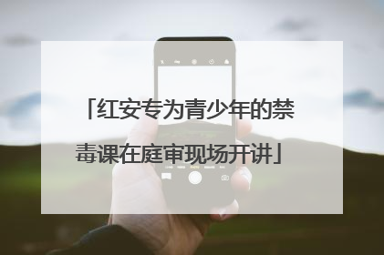 红安专为青少年的禁毒课在庭审现场开讲