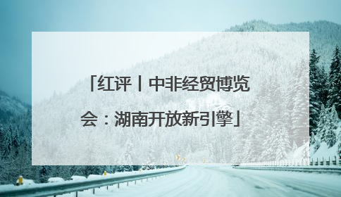 红评丨中非经贸博览会：湖南开放新引擎