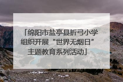 绵阳市盐亭县折弓小学组织开展“世界无烟日”主题教育系列活动