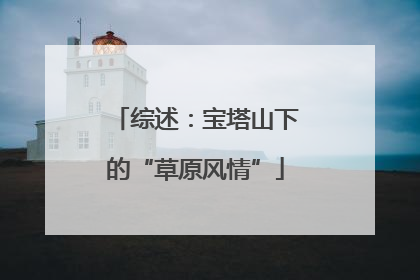 综述：宝塔山下的“草原风情”