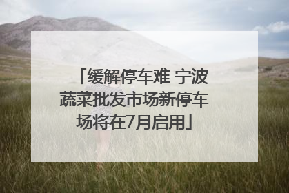 缓解停车难 宁波蔬菜批发市场新停车场将在7月启用