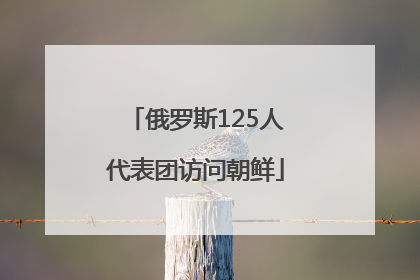 俄罗斯125人代表团访问朝鲜