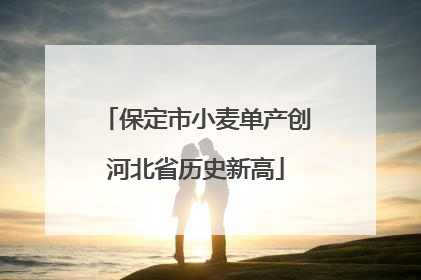 保定市小麦单产创河北省历史新高