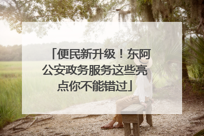 便民新升级！东阿公安政务服务这些亮点你不能错过