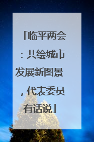 临平两会：共绘城市发展新图景，代表委员有话说