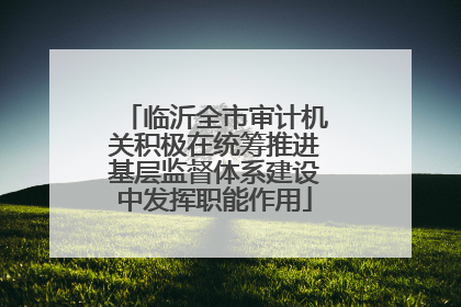 临沂全市审计机关积极在统筹推进基层监督体系建设中发挥职能作用