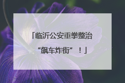 临沂公安重拳整治“飙车炸街”！