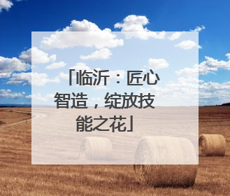 临沂：匠心智造，绽放技能之花