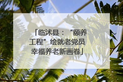 临沭县：“颐养工程”绘就老党员幸福养老新画卷