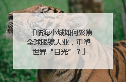 临海小城如何聚焦全球眼镜大业，重塑世界“目光”？