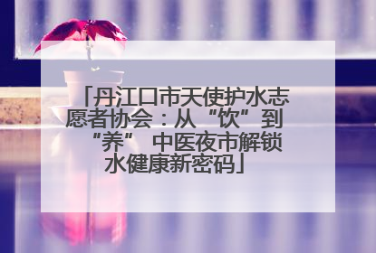 丹江口市天使护水志愿者协会：从“饮”到“养” 中医夜市解锁水健康新密码