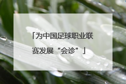 为中国足球职业联赛发展“会诊”