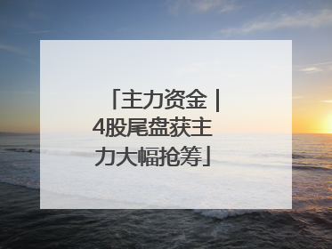 主力资金｜4股尾盘获主力大幅抢筹