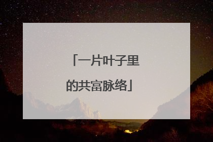 一片叶子里的共富脉络