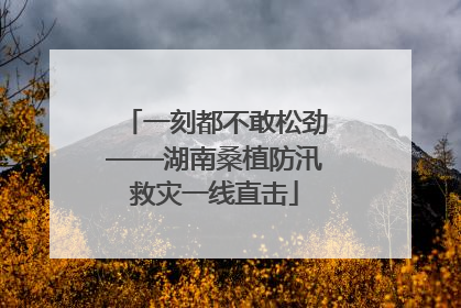 一刻都不敢松劲——湖南桑植防汛救灾一线直击
