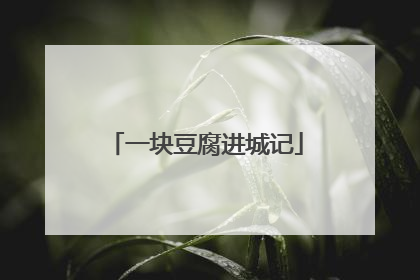 一块豆腐进城记