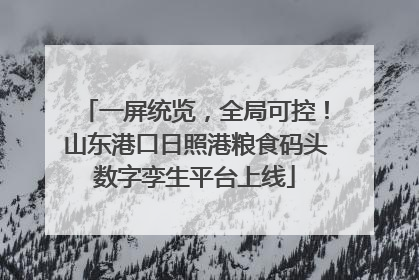 一屏统览，全局可控！山东港口日照港粮食码头数字孪生平台上线