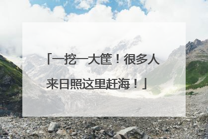 一挖一大筐！很多人来日照这里赶海！