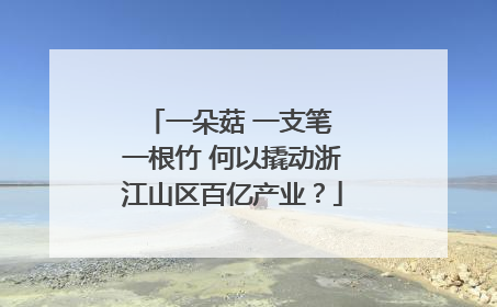 一朵菇 一支笔 一根竹 何以撬动浙江山区百亿产业？