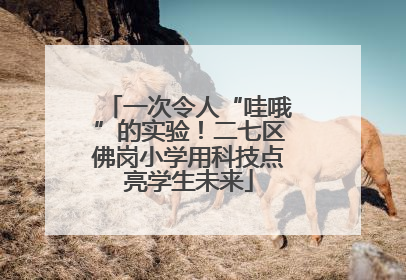 一次令人“哇哦”的实验！二七区佛岗小学用科技点亮学生未来