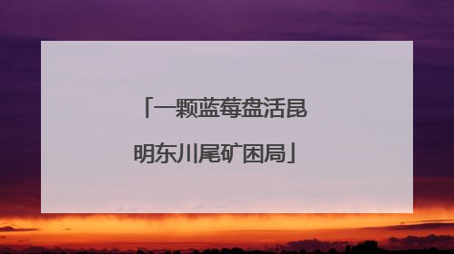 一颗蓝莓盘活昆明东川尾矿困局