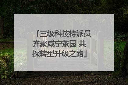 三级科技特派员齐聚咸宁茶园 共探转型升级之路