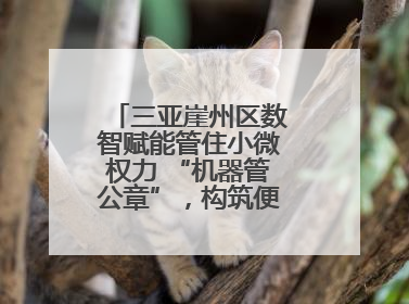 三亚崖州区数智赋能管住小微权力 “机器管公章”，构筑便民服务新生态