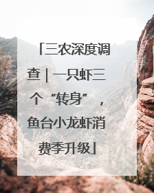 三农深度调查｜一只虾三个“转身”，鱼台小龙虾消费季升级