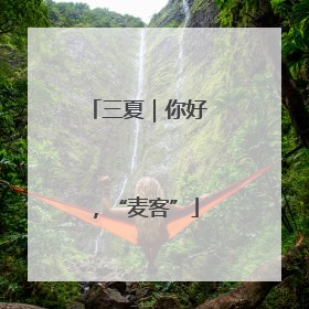 三夏｜你好，“麦客”