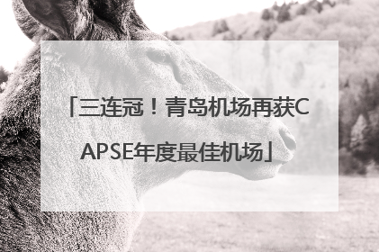 三连冠！青岛机场再获CAPSE年度最佳机场