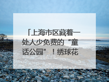 上海市区藏着一处人少免费的“童话公园”！绣球花海、金色秘境……地铁直达→