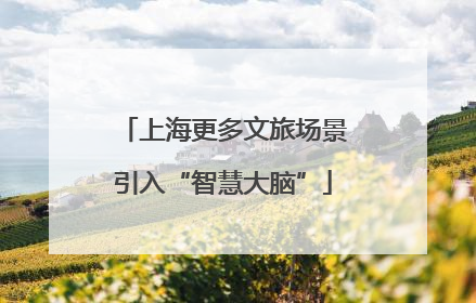 上海更多文旅场景引入“智慧大脑”