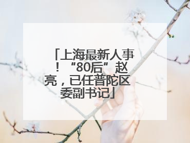 上海最新人事！“80后”赵亮，已任普陀区委副书记