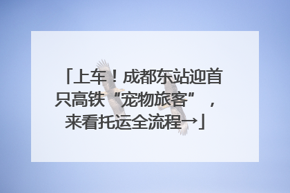 上车！成都东站迎首只高铁“宠物旅客”，来看托运全流程→