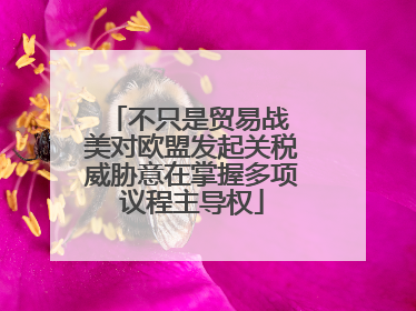 不只是贸易战 美对欧盟发起关税威胁意在掌握多项议程主导权
