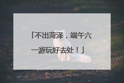 不出菏泽，端午六一游玩好去处！