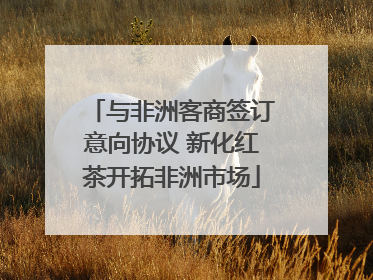 与非洲客商签订意向协议 新化红茶开拓非洲市场