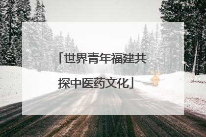 世界青年福建共探中医药文化
