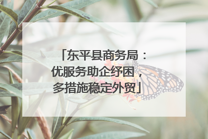 东平县商务局：优服务助企纾困，多措施稳定外贸