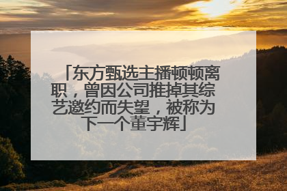 东方甄选主播顿顿离职，曾因公司推掉其综艺邀约而失望，被称为下一个董宇辉