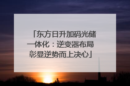东方日升加码光储一体化：逆变器布局彰显逆势而上决心